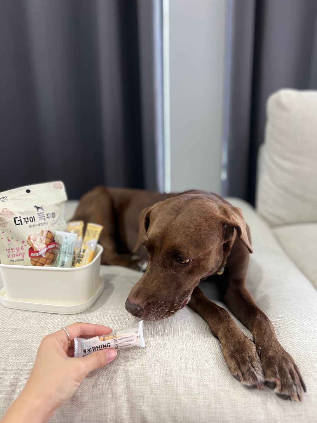 Customer photo review of The Ggui Dog Ggui Baked Fish Chip Treat (Original)