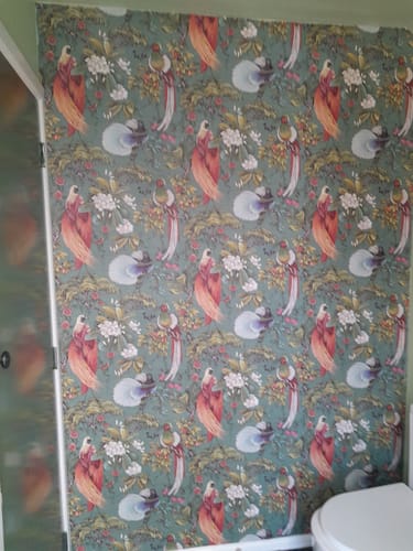 Customer photo review of Yasuni - Orential Tropical Bird Wallpaper - Green