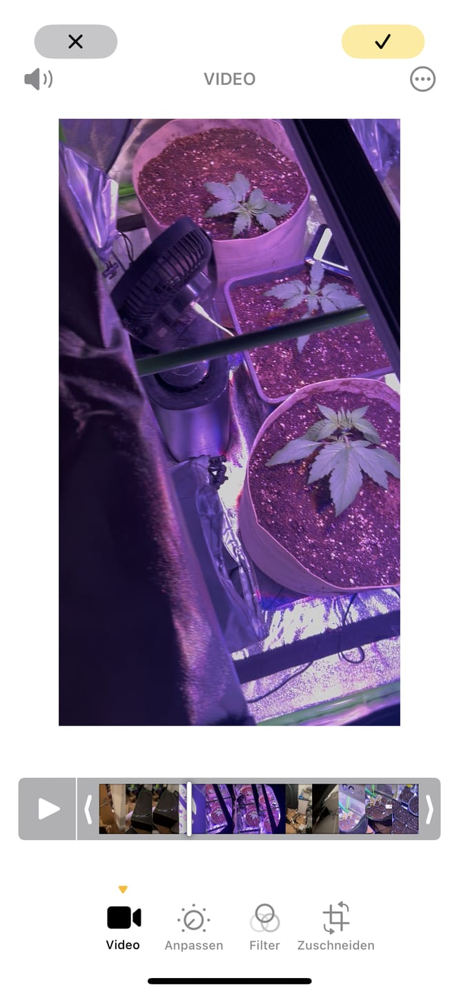 Customer photo review of Root Heaven Stoff Topf