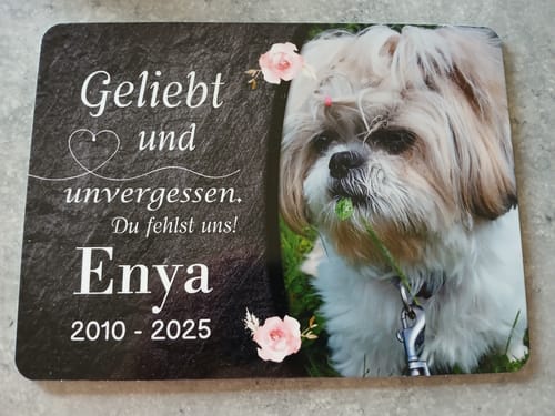 Customer photo review of Hunde Gedenktafel mit Foto & Spruch (UV- & Wetterfest)