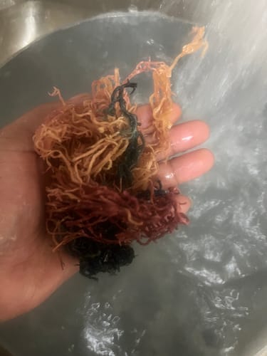 Customer photo review of Raw Full Spectrum Sea Moss