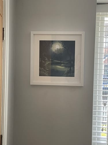 Customer photo review of Race To The Moon Small By Catherine Stephenson