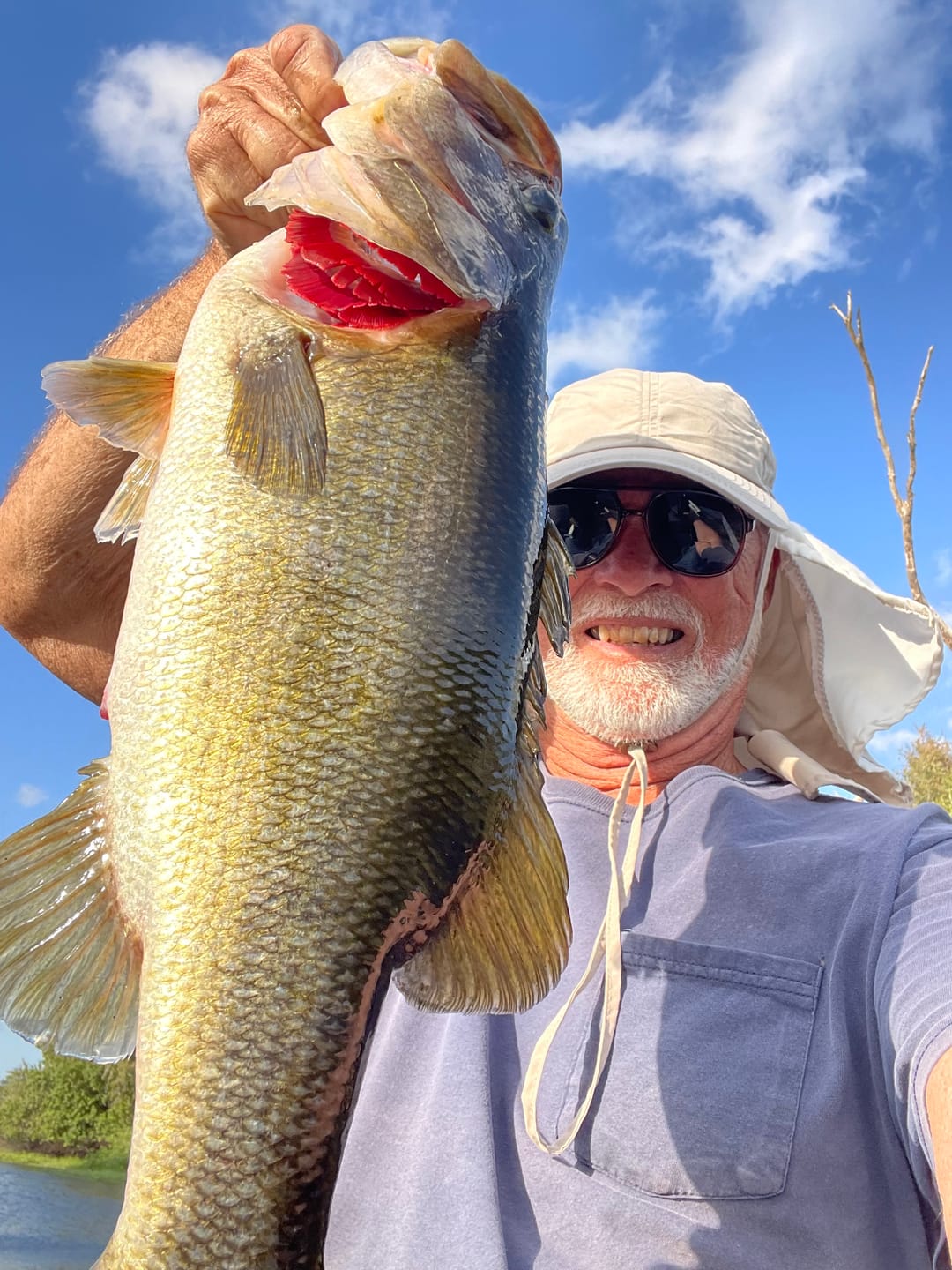 Customer photo review of 200% Sensitive Tungsten Worm Weights | Bullet Weights | 2 Colors 5 Pack