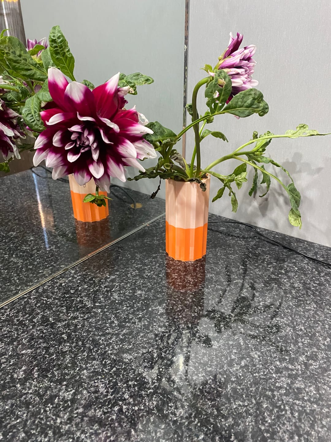 Customer photo review of Mini Millie