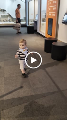 Customer video review of SOHLS Velcro Toddler Shoe – Midnight Onyx