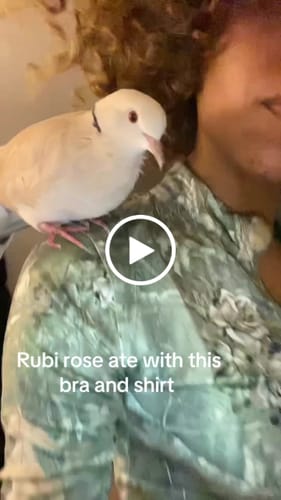 Customer video review of CAMO SCULPT ZIP-UP JACKET