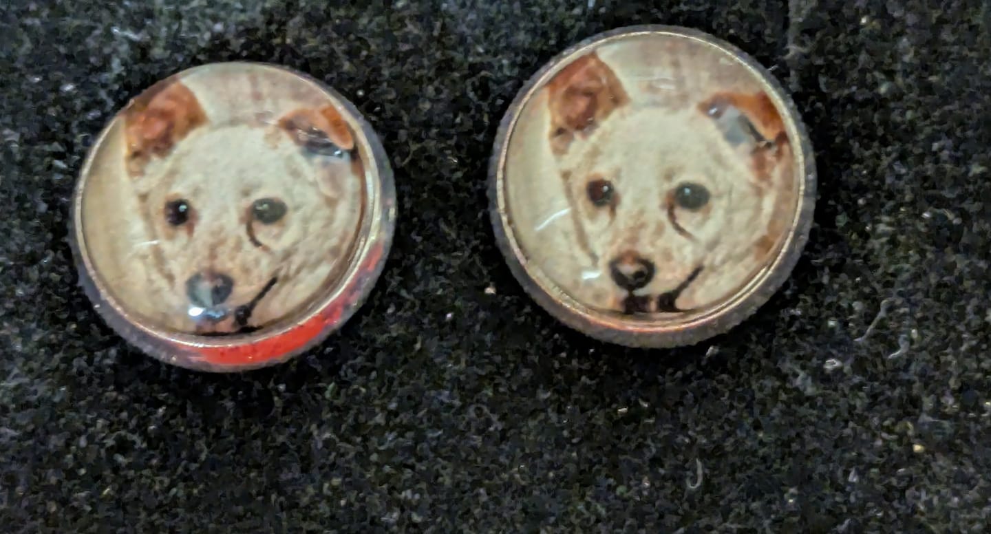 Customer photo review of Live Customization Glass Pet Stud Earrings