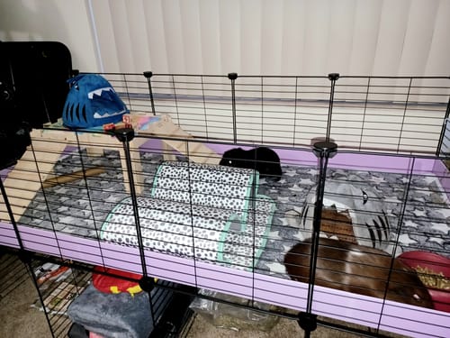 Customer photo review of 4x2 C&C Cage with Stand