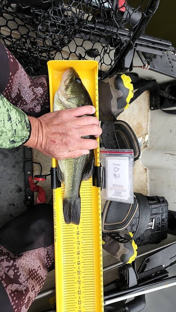 Customer photo review of Ketch Karbonate Measuring Board