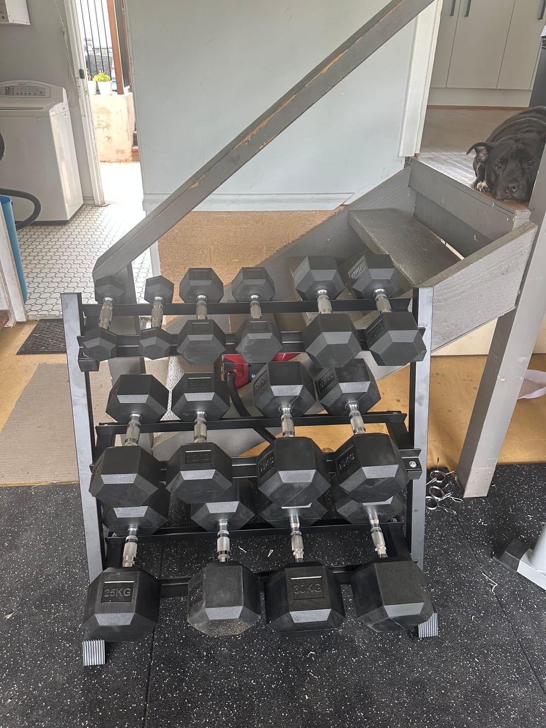 Customer photo review of BRIXX 5kg - 30kg Hex Dumbbell Set & Rack | 6 Pairs - 210kg Package