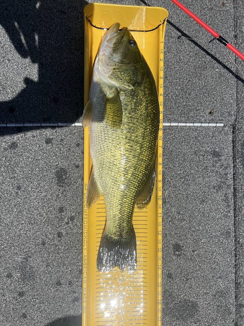 Customer photo review of Ketch Karbonate Measuring Board