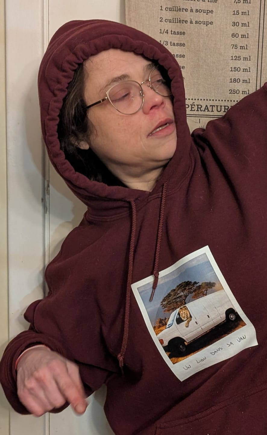 Customer photo review of Hoodie - Un lion dans sa van