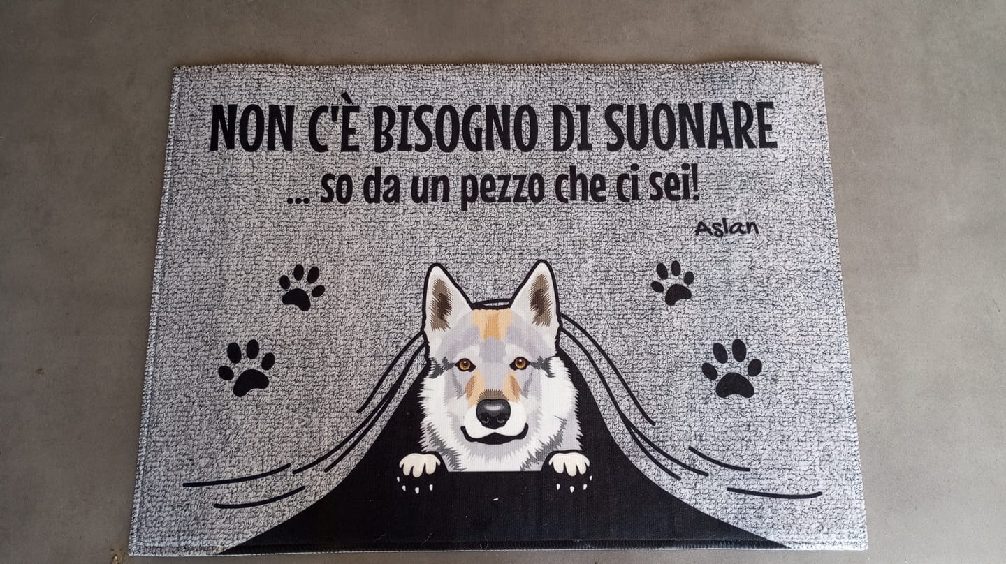 Customer photo review of Non c'è bisogno di suonare - Zerbino personalizzato