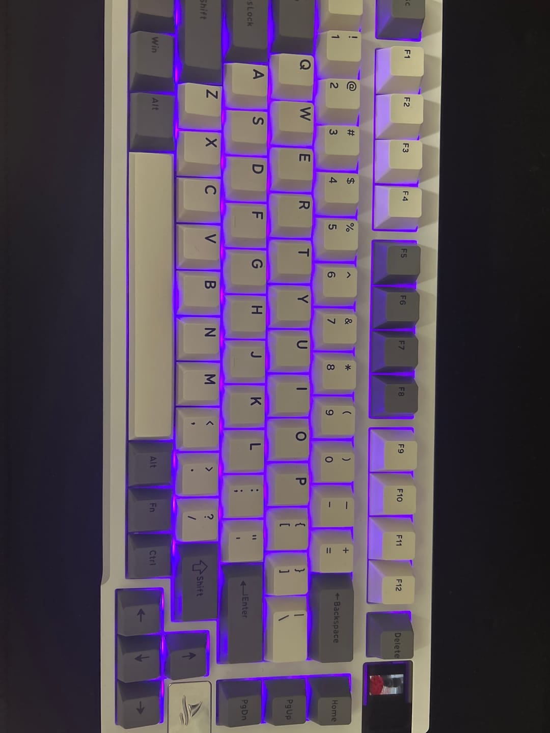 Customer photo review of Darmoshark K8 Mekanik Klavye
