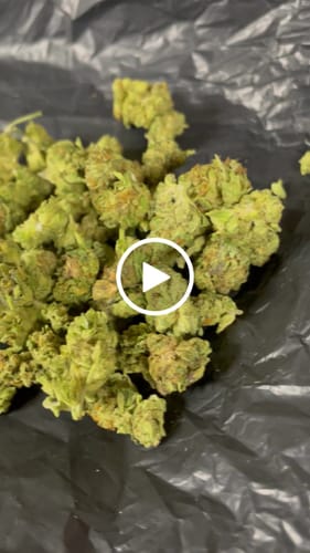 Customer video review of Greenhouse Smalls