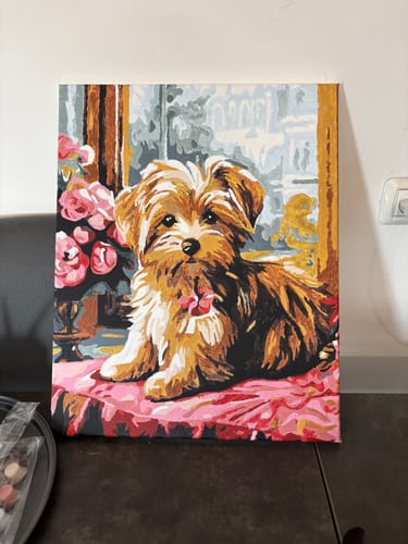 Customer photo review of צביעה לפי מספרים - PBN0125