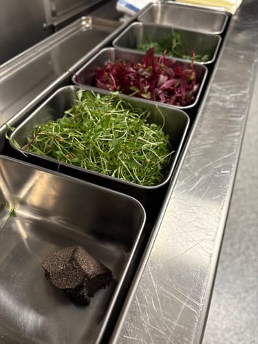 Customer photo review of Mise en Place Yakumi Pan - 5 Compartment with Lid