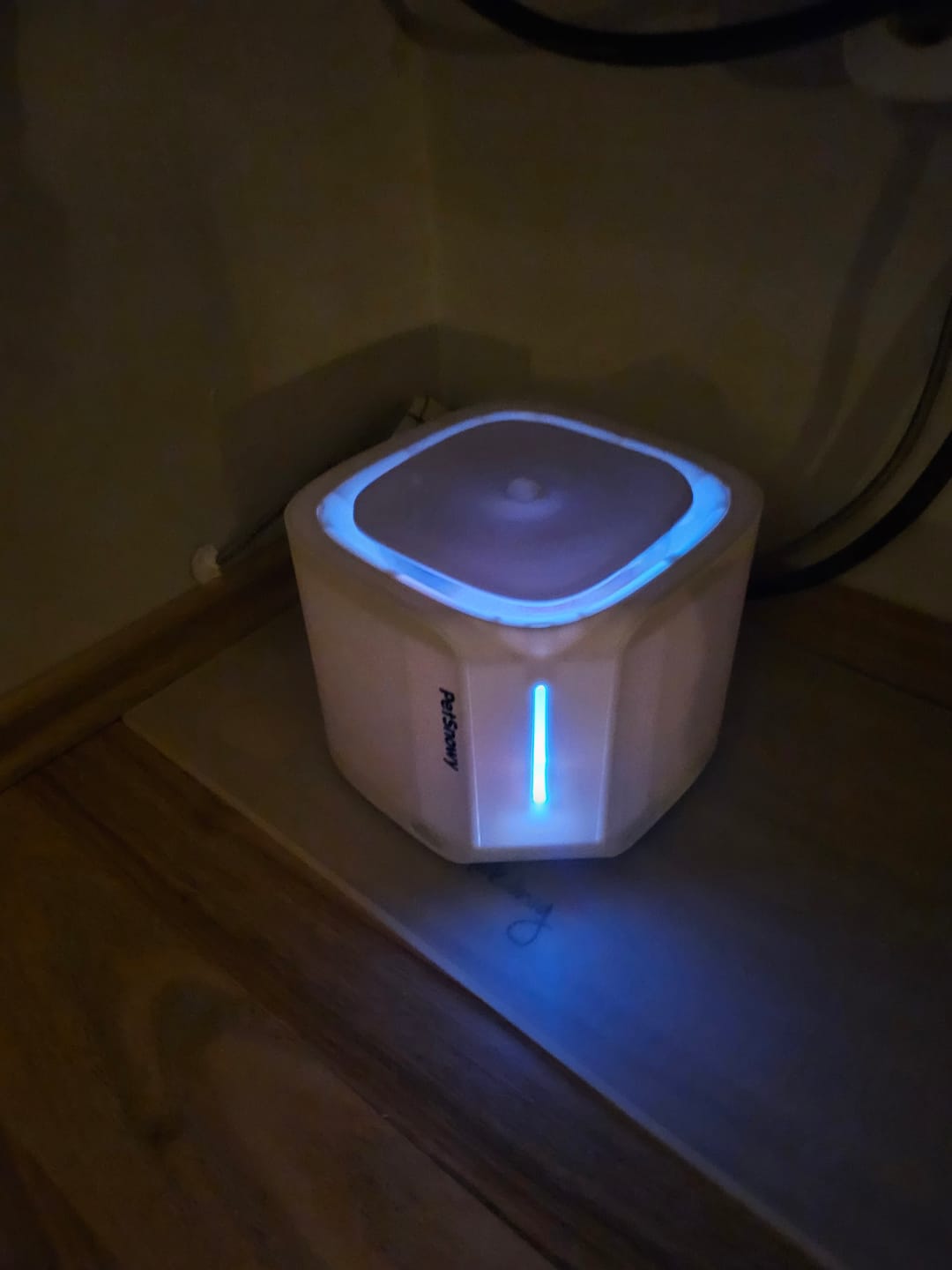 Customer photo review of Pet Water Fountain