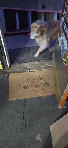 Customer photo review of 47 Presidential Seal Door Mat