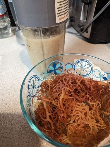 Customer photo review of Raw Full Spectrum Sea Moss