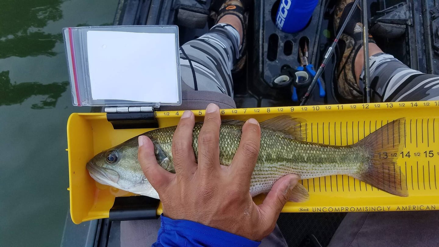 Customer photo review of Ketch Karbonate Measuring Board