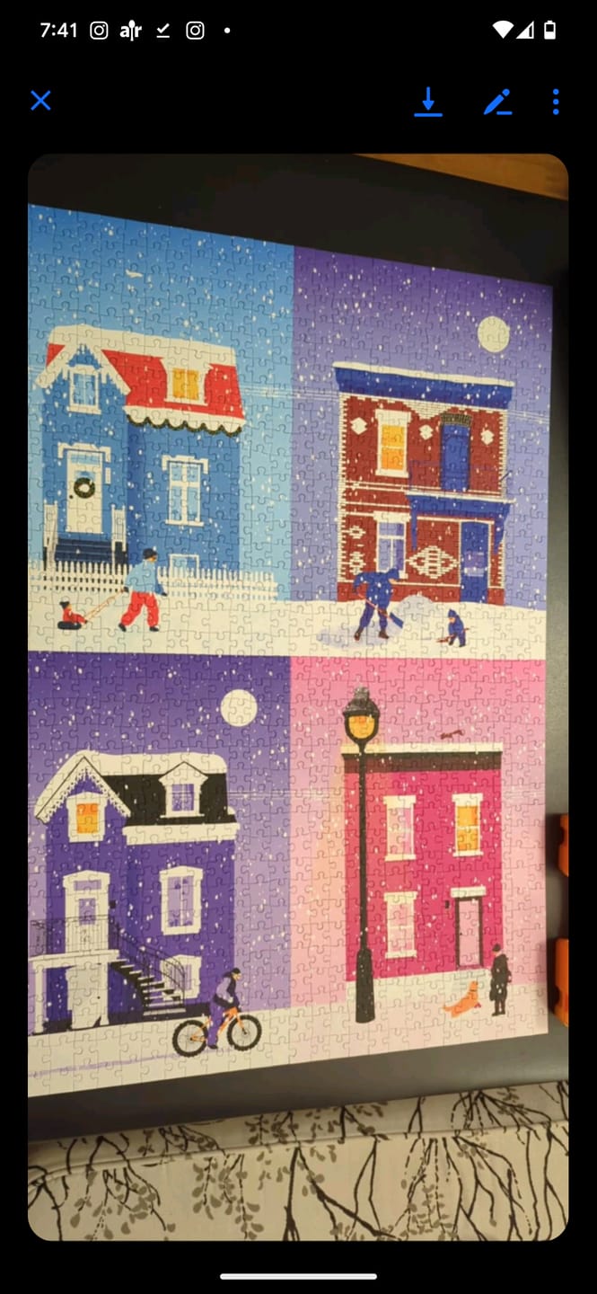 Customer photo review of Snowy in Montreal