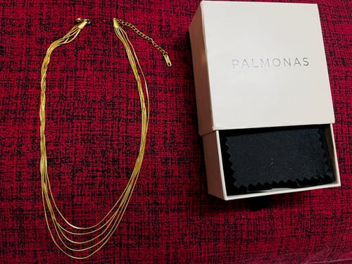 Customer photo review of Golden Layers Chain Necklace
