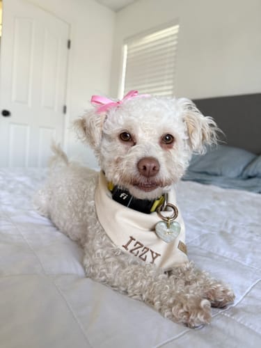 Customer photo review of Custom Embroidered Bandana