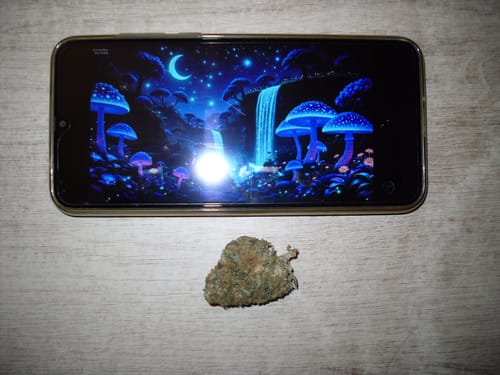 Customer photo review of 🍋 Lemon King - Power LVL 5/5