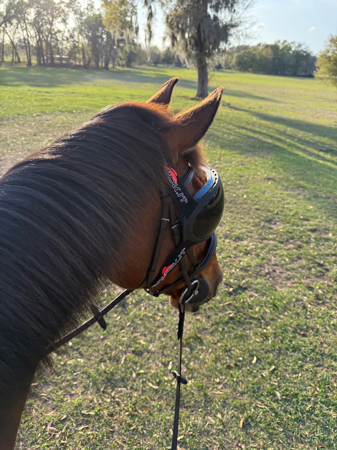 Customer photo review of eVysor - UV Horse Riding Goggles!