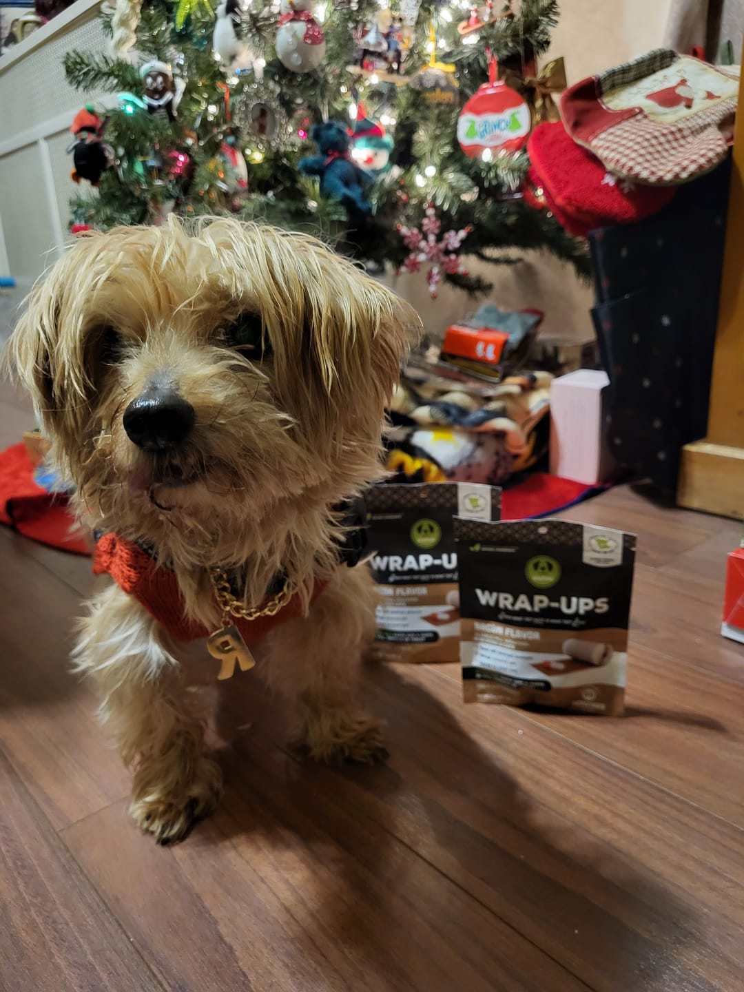 Customer photo review of Wrap-Ups® Pill Wrapper