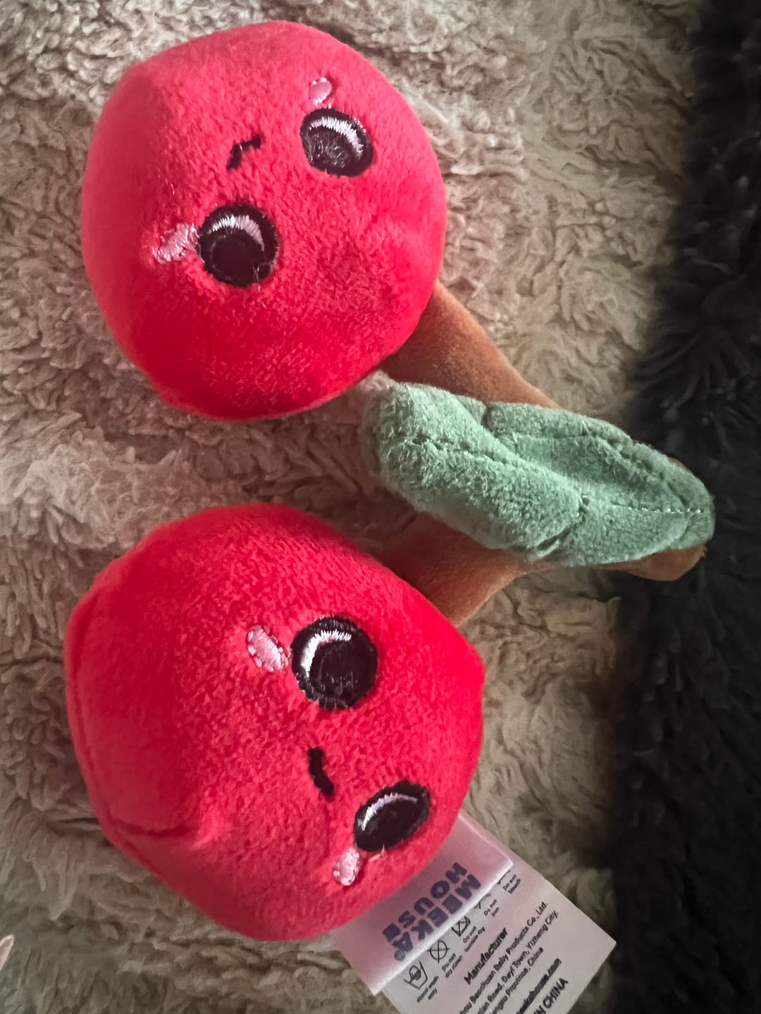 Customer photo review of Cute Fruit and Vegetable Plushies