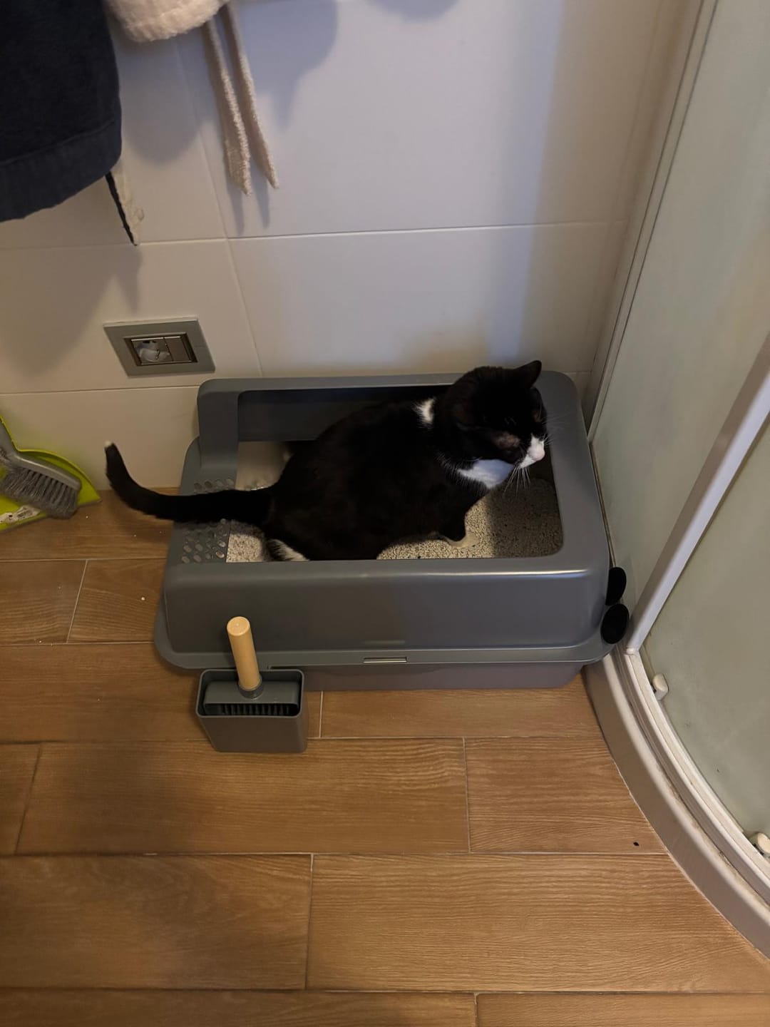 Customer photo review of BORING LITTER - Lettiera in Acciaio INOX