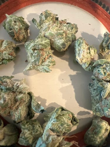 Customer photo review of MJ Mints Smalls