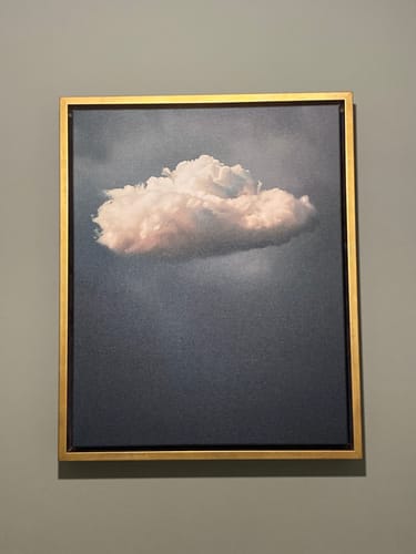 Customer photo review of Vintage Cloud Print