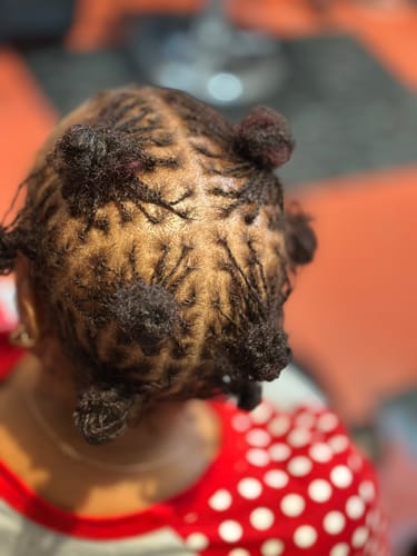 Customer photo review of "A Textbook for Locs: The Loc Journey Survival Guide"