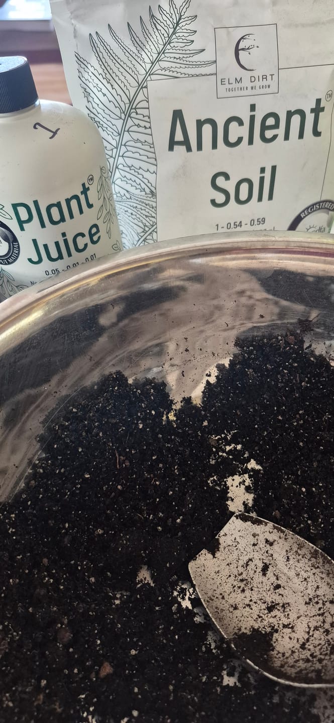 Customer photo review of Ancient Soil