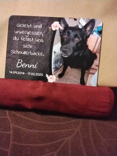 Customer photo review of Hunde Gedenktafel mit Foto & Spruch (UV- & Wetterfest)