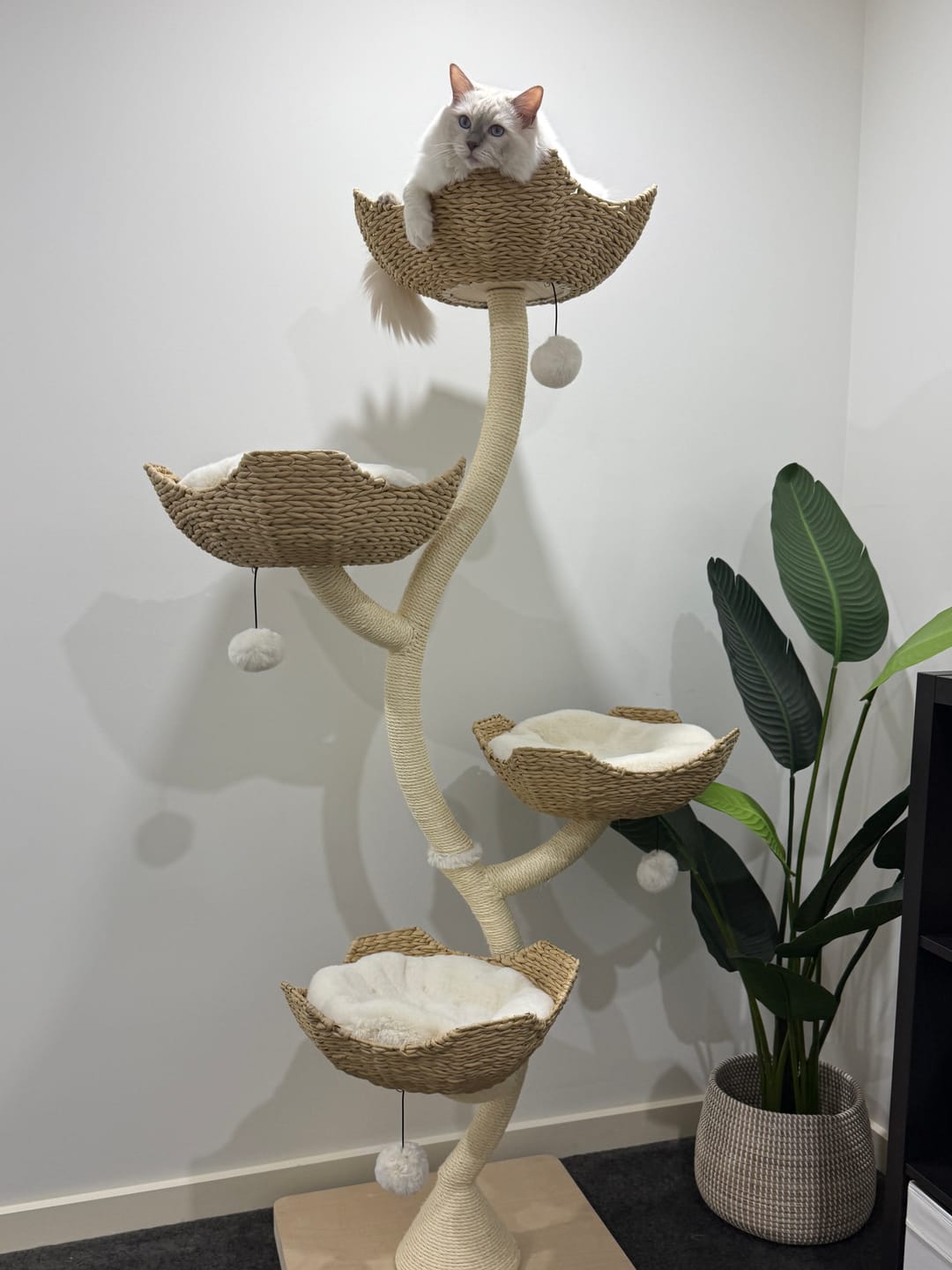 Customer photo review of MICHU Ivy Cat Tower Deluxe 4-Tier Designer Tall Cat Tree