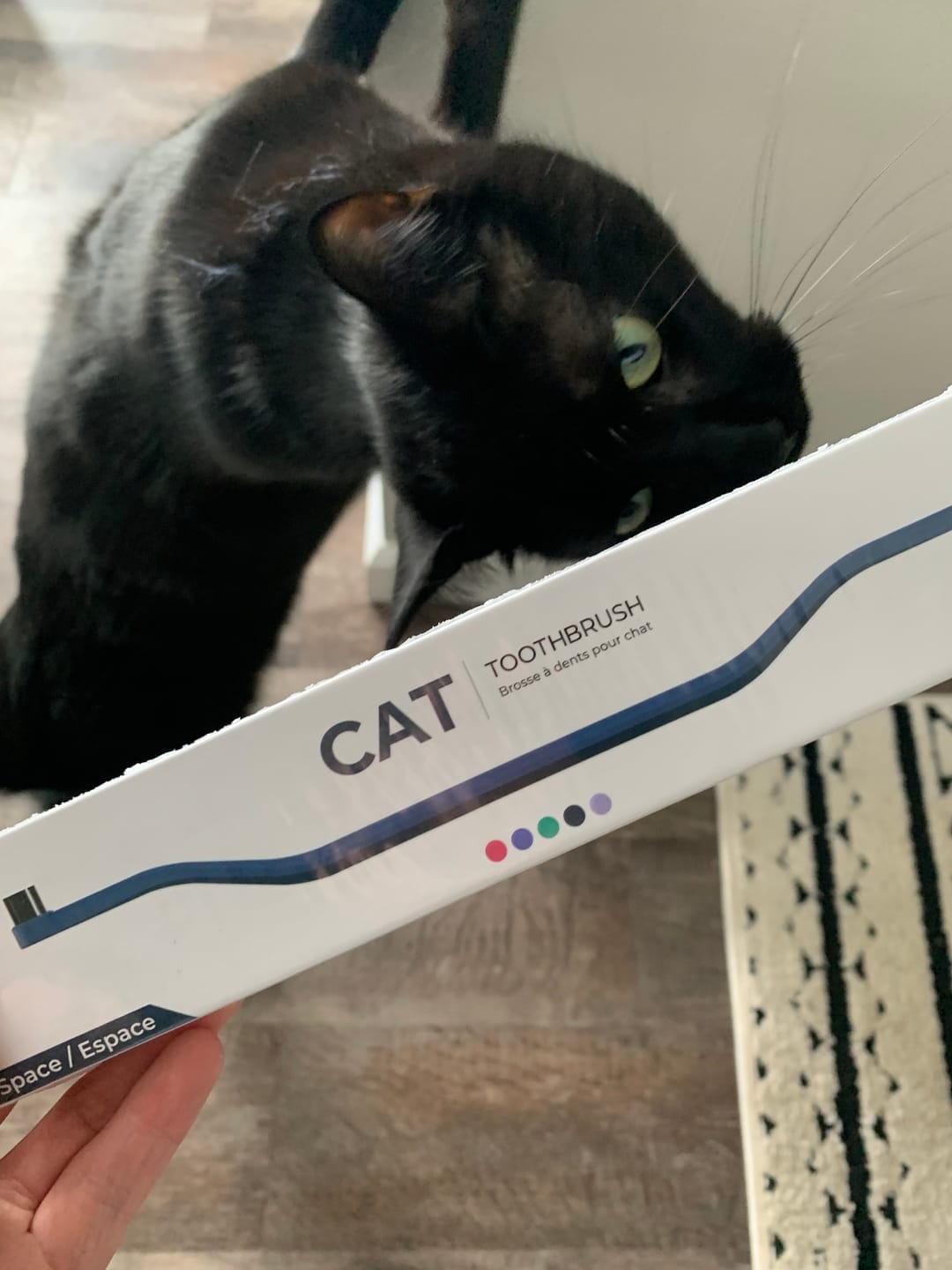 Customer photo review of RYERCAT Dual Sided Cat Toothbrush