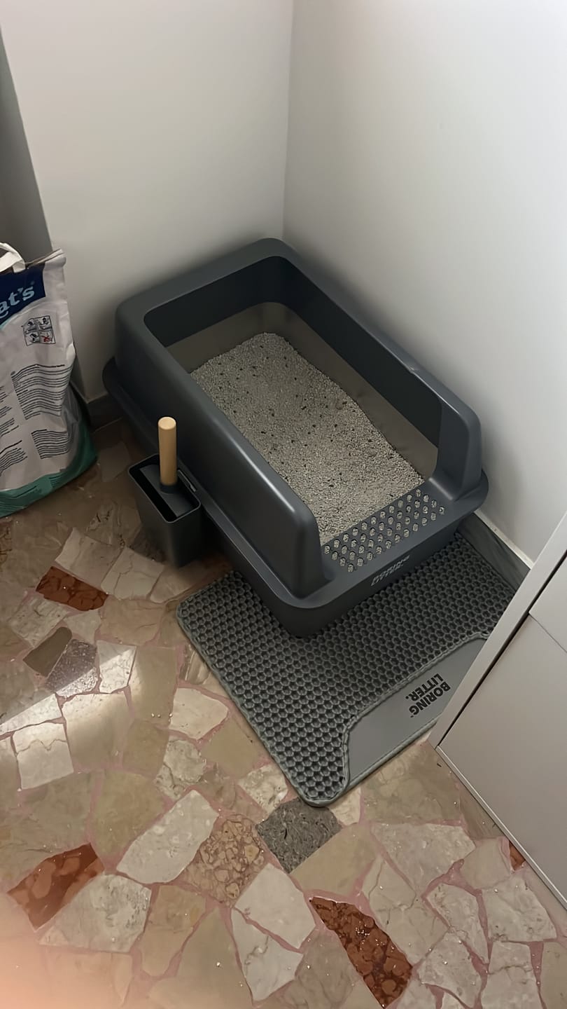 Customer photo review of BORING LITTER - Lettiera in Acciaio INOX