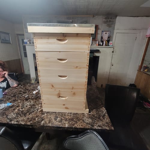 Customer photo review of BeeCastle Natural Hive 10 Frame 4 Layer Cedar Wood Beehive Kit:Elevate Your Beekeeping Journey Naturally! Includes 2 Deep Boxes and 2 Super Boxes with Premium Wooden Frames and Beeswax Plastic Foundation
