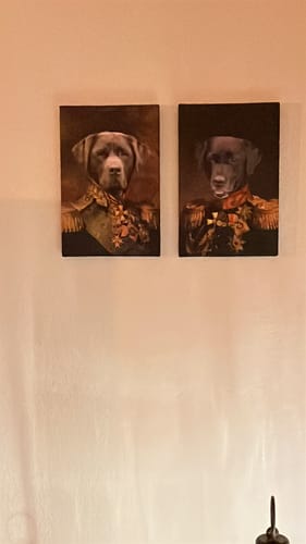 Fotorecensie van een klant over De Veteraan