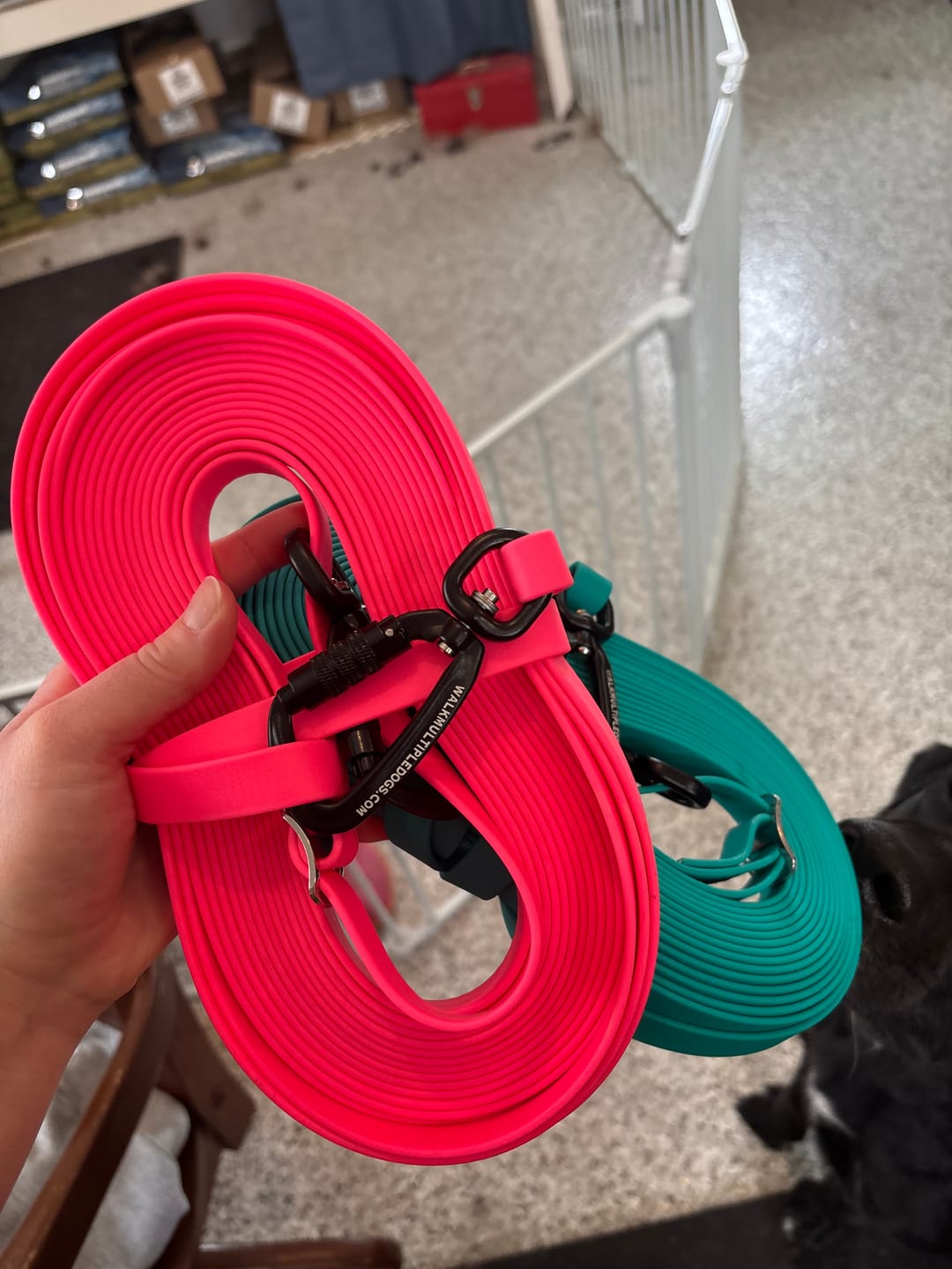 Customer photo review of Trainer