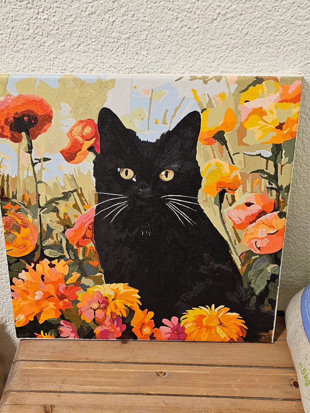 Customer photo review of Sunny Feline