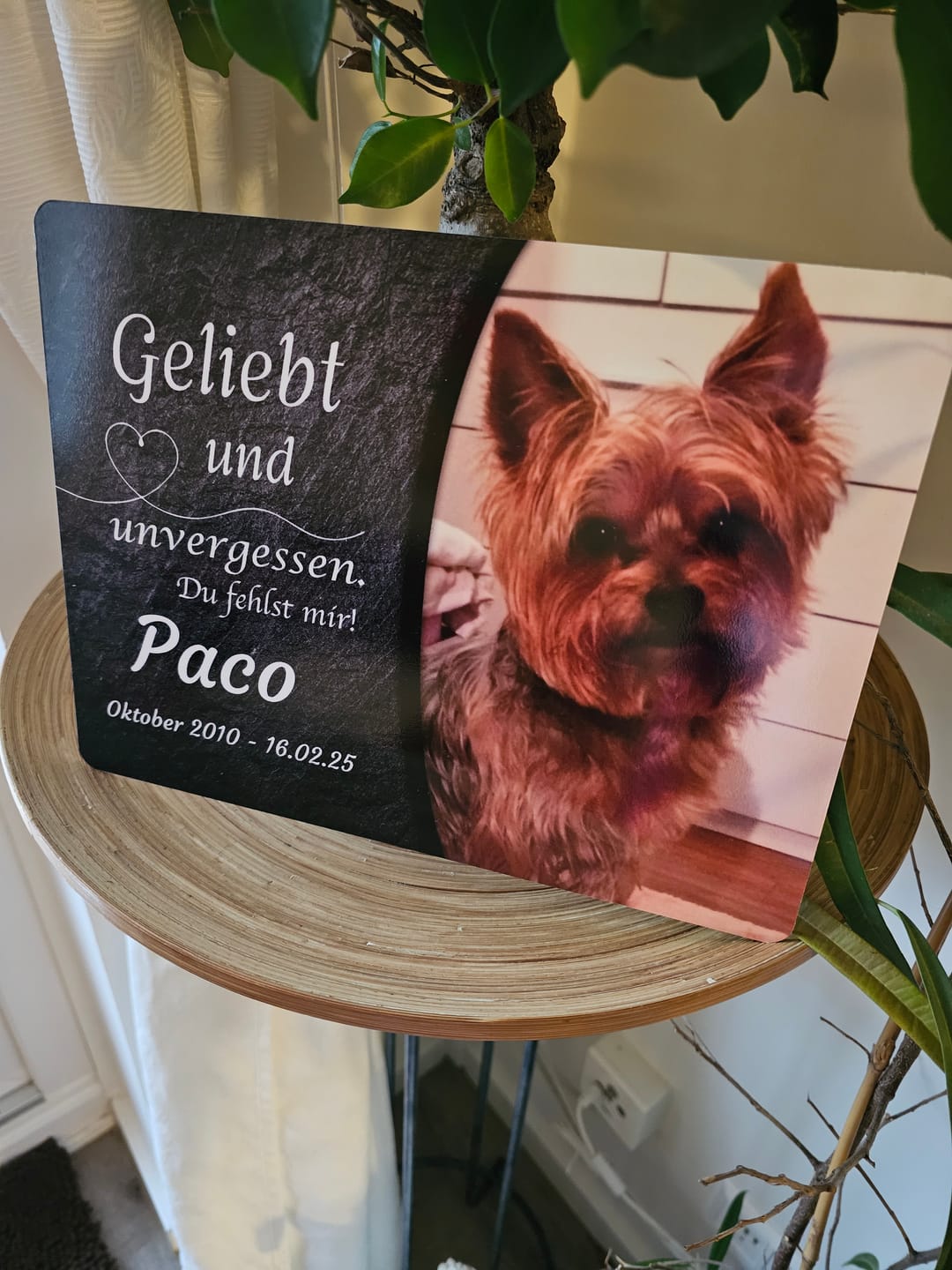 Customer photo review of Gedenk-Schlüsselanhänger mit Foto & Text Angebot