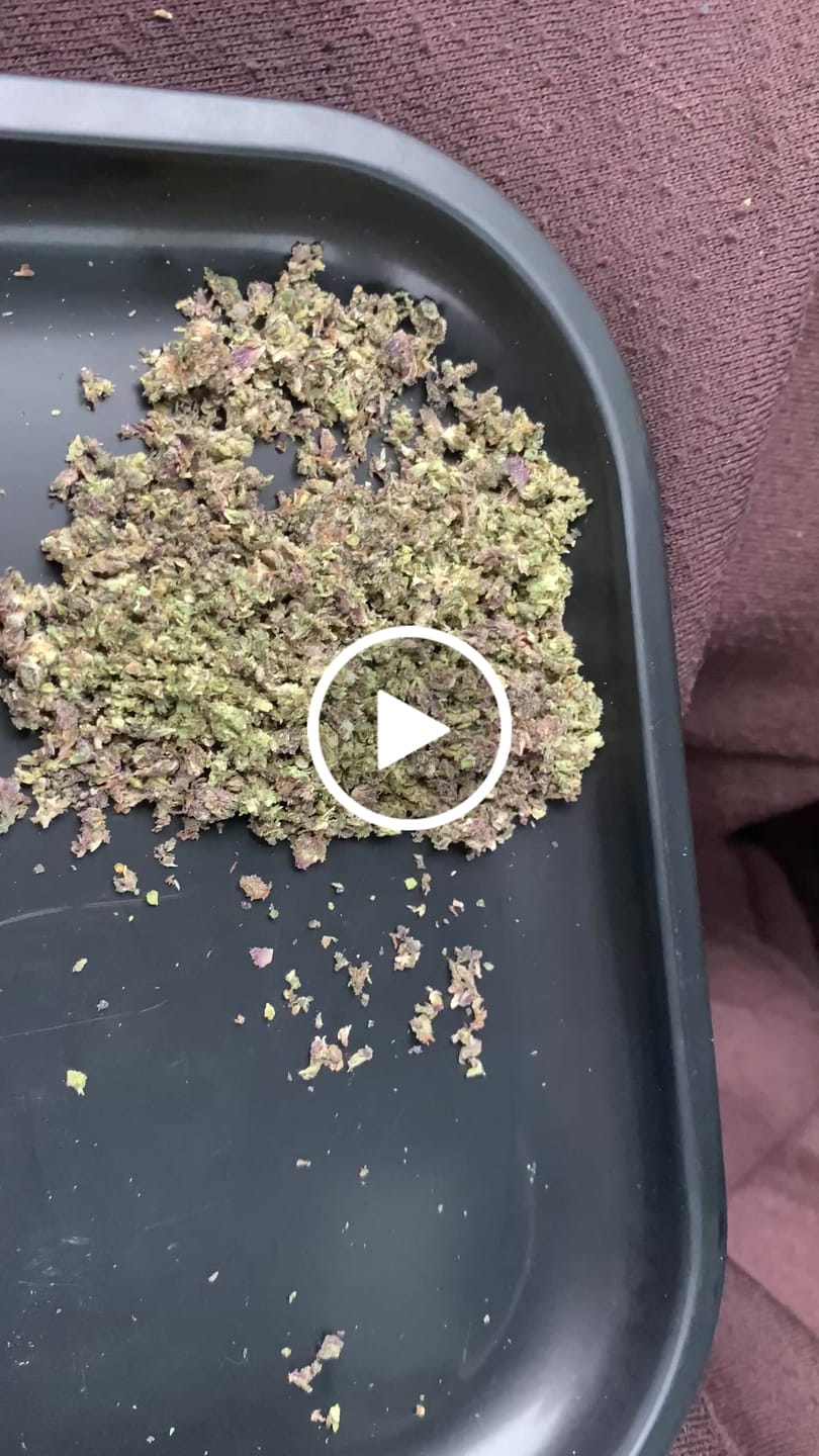 Customer video review of Gelato 45 - THCa Flower