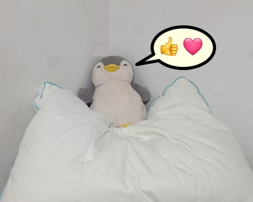 Customer photo review of כרית נוצות פלומה אווז