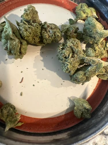 Customer photo review of Grape Gas Smalls