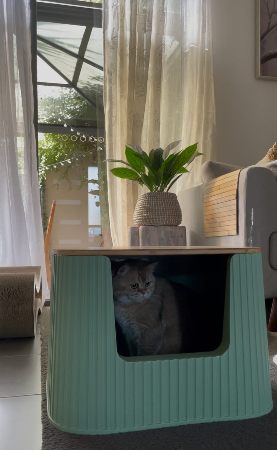 Customer photo review of Michu XXL BoBa Deluxe Cat Litter Box - Spacious Design